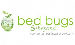 BedBugs
