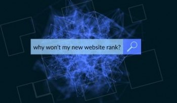 digital search bar with question "why won't my website rank organically?"