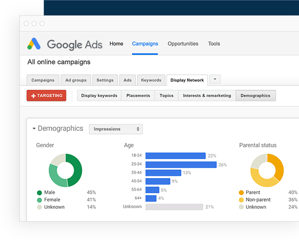 Google Ads Management Demographics Stats